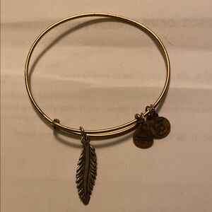 Alex and Ani silver Feather Charm Bracelet